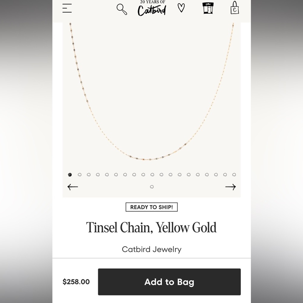 Catbird Tinsel Chain necklace